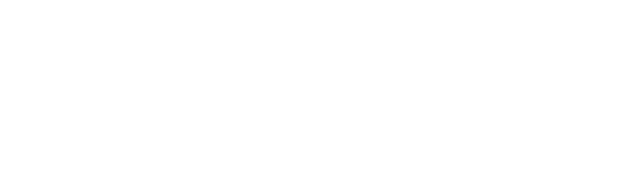 Serendip Technologies